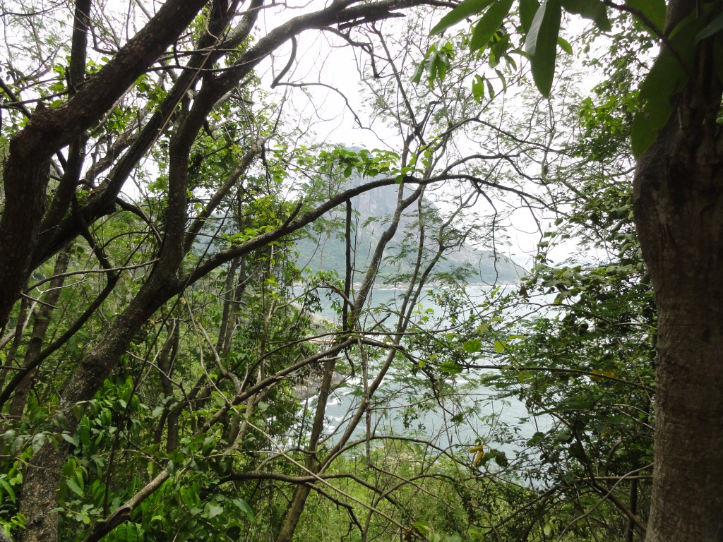 http://s9.picofile.com/file/8317696250/447.JPG
