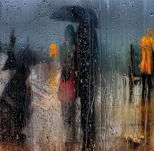 دنیا غلامی