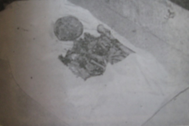 جسد نادرشاه