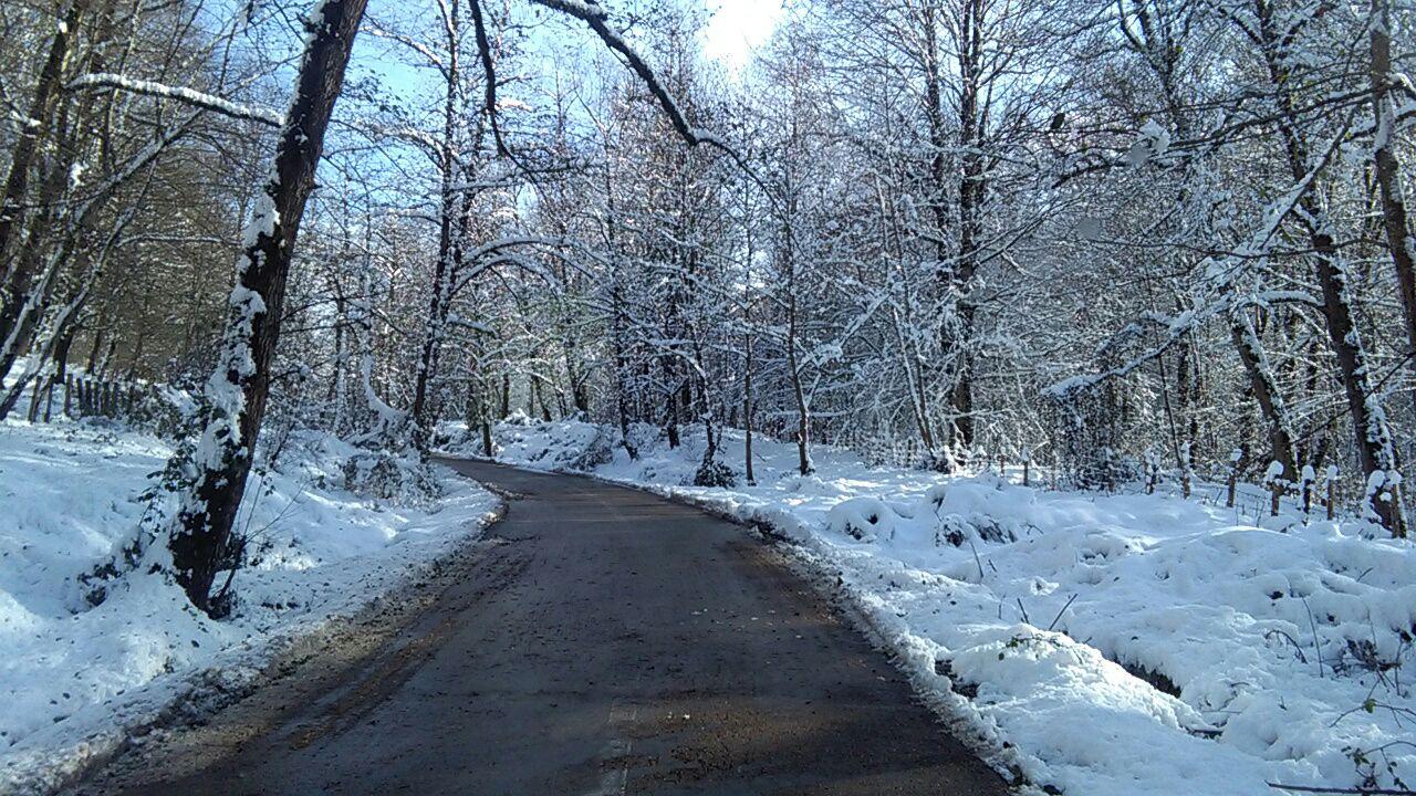 1_1_.jpg (1280×720)