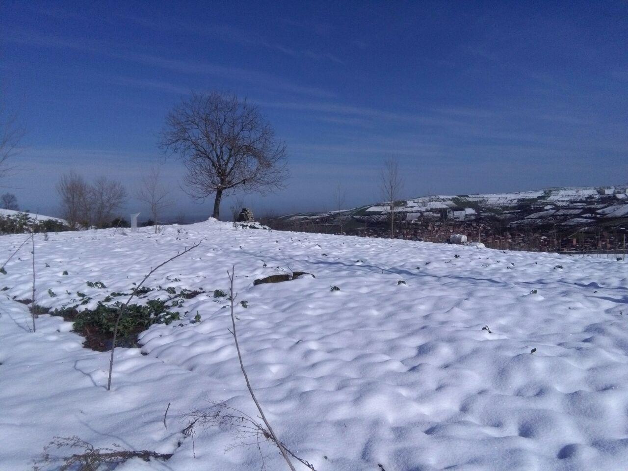 1_4_.jpg (1280×960)