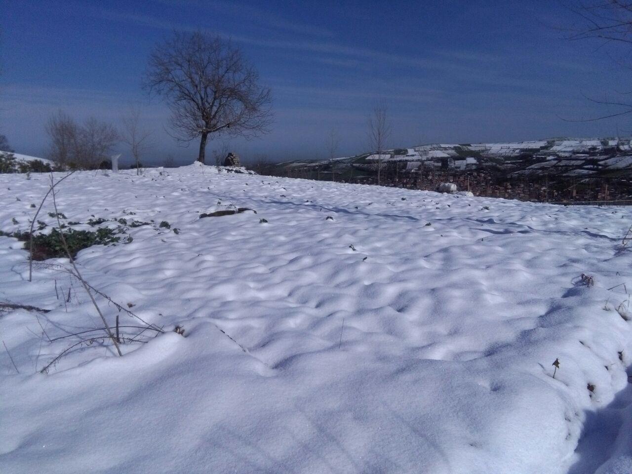 1_7_.jpg (1280×960)