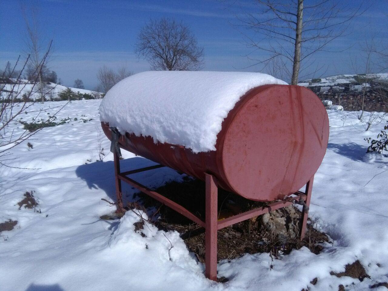 1_8_.jpg (1280×960)