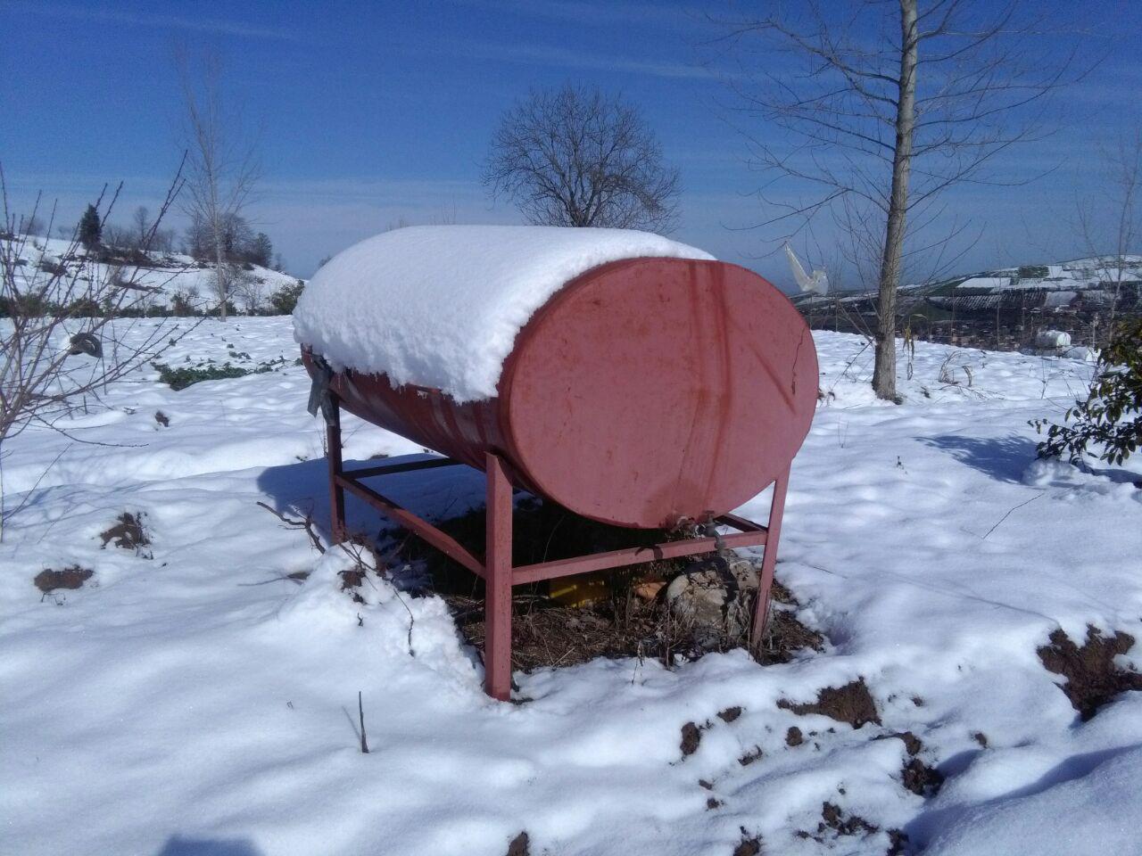 1_9_.jpg (1280×960)