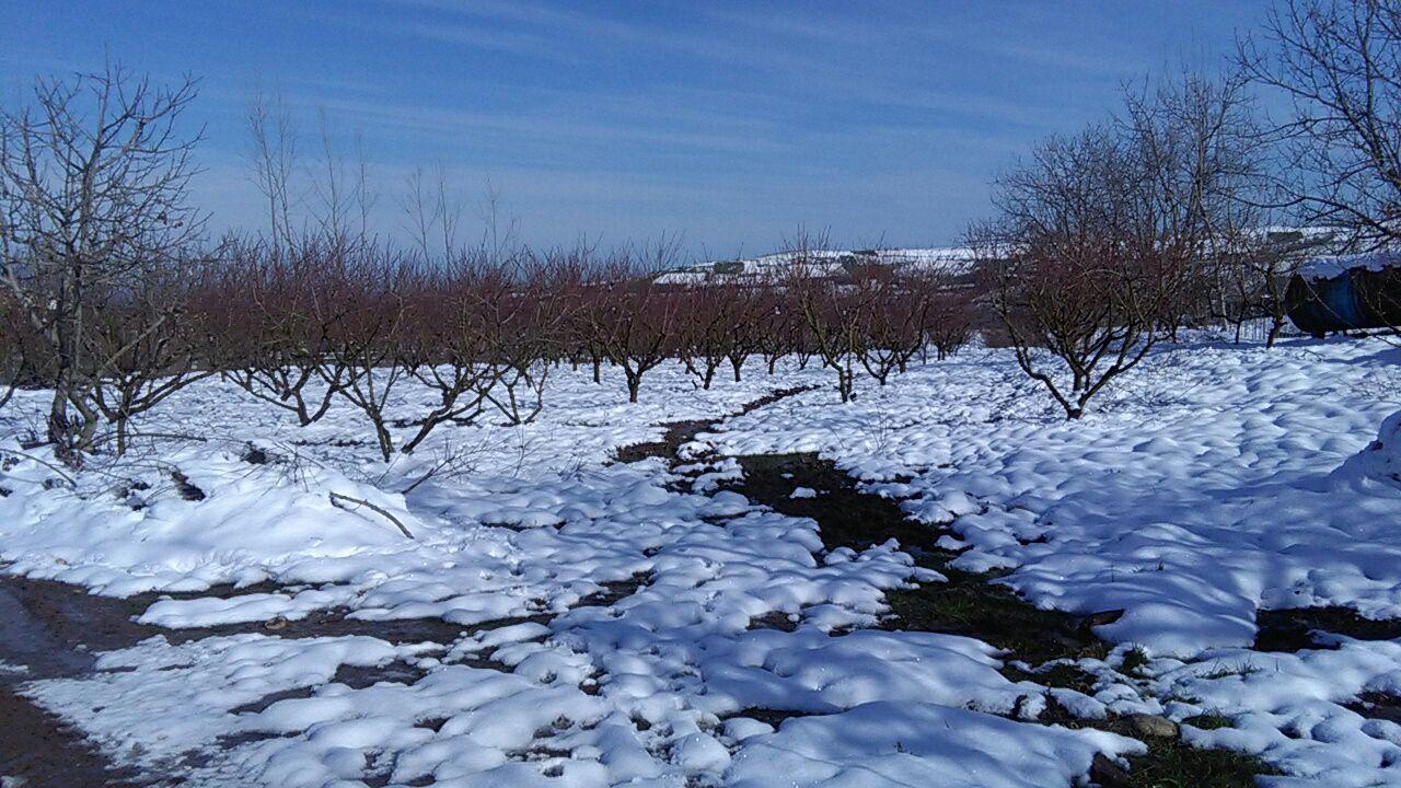 1_14_.jpg (1280×720)