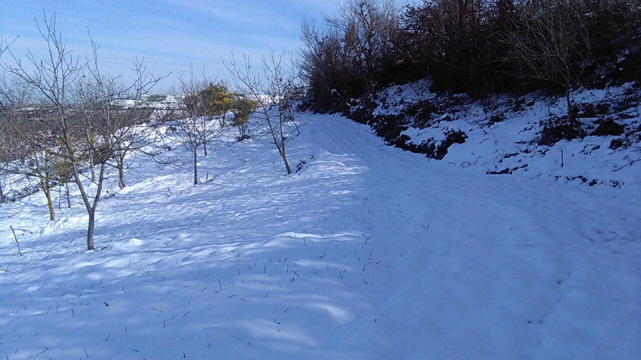 1_18_.jpg (1280×720)