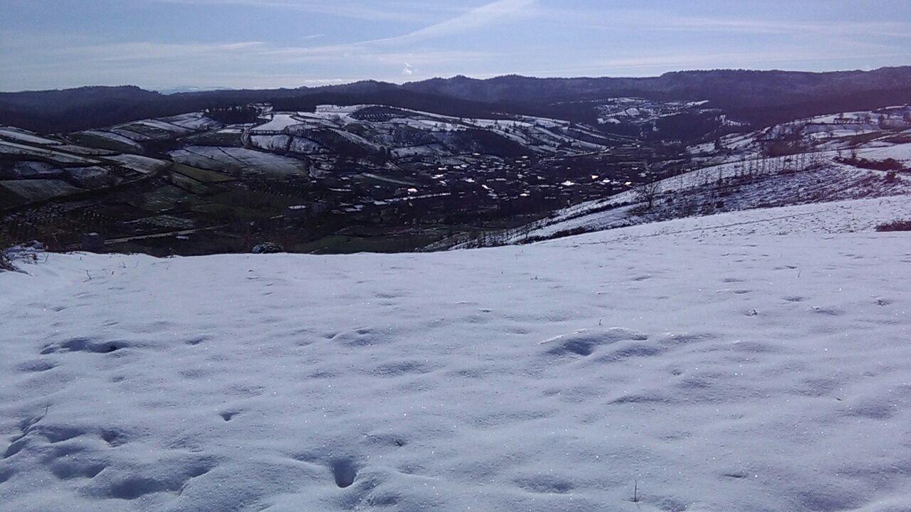 1_24_.jpg (1280×720)