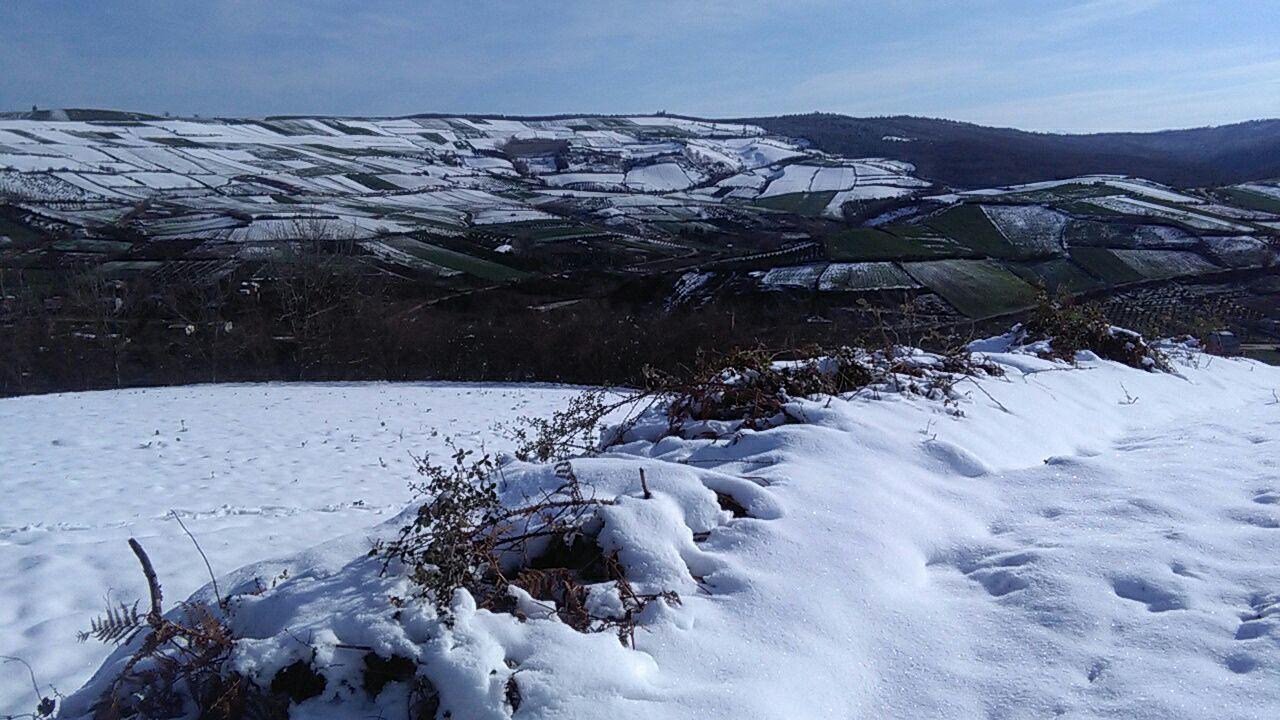 1_26_.jpg (1280×720)