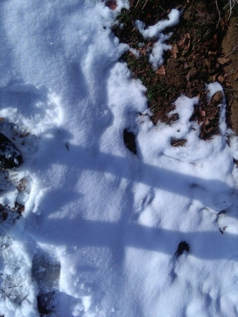 1_28_.jpg (960×1280)