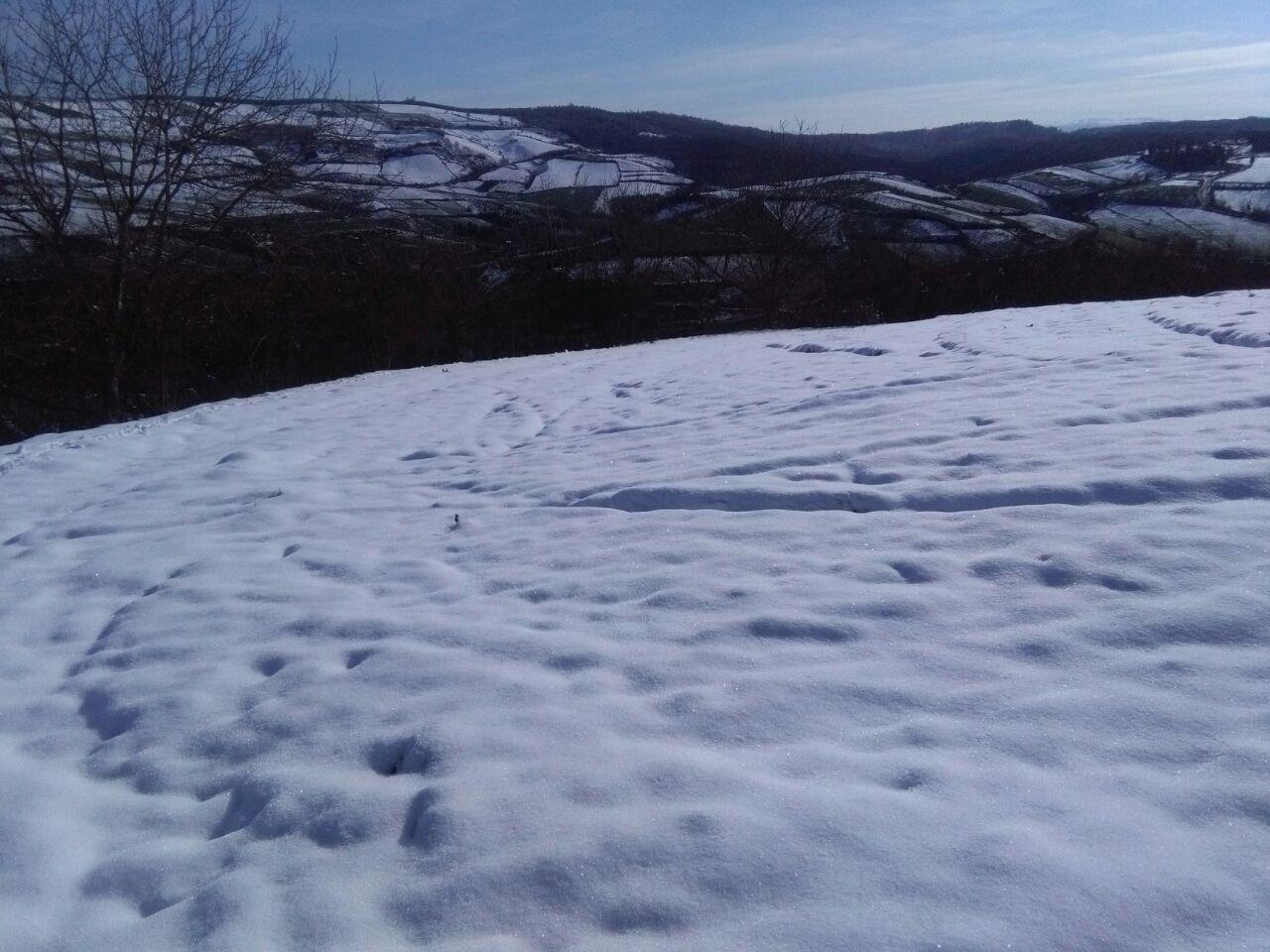 1_30_.jpg (1280×960)