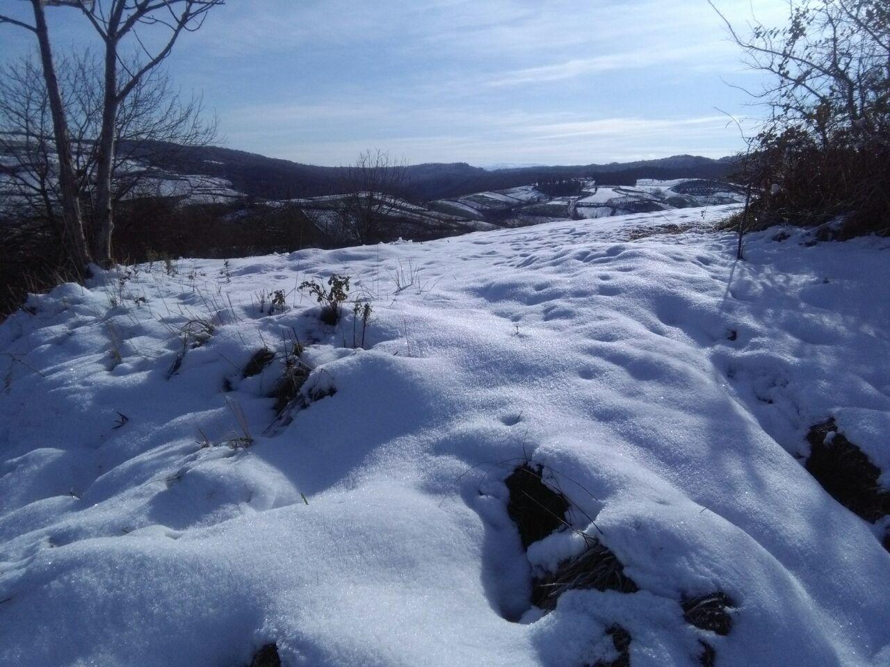 1_35_.jpg (1280×960)