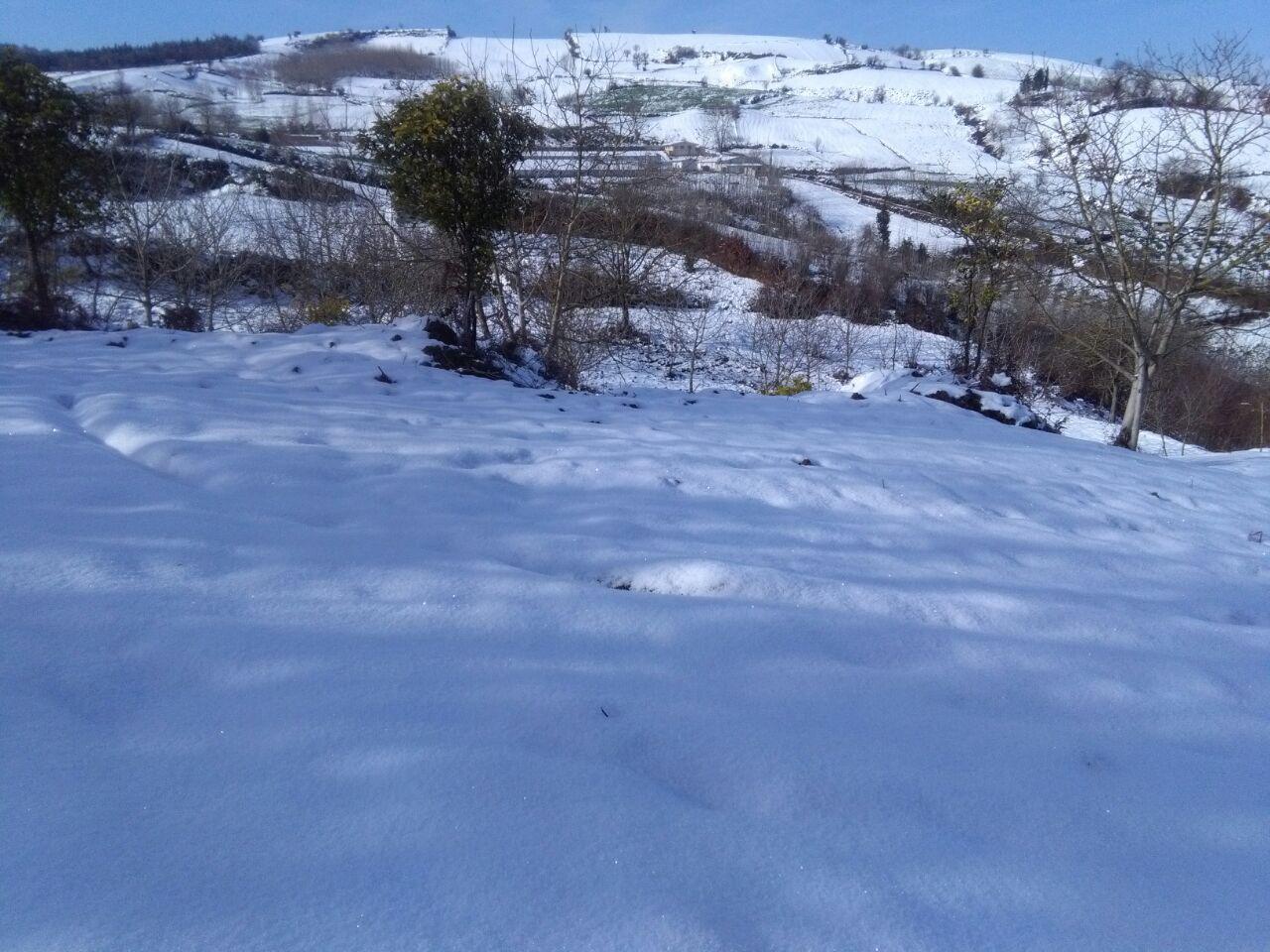 1_37_.jpg (1280×960)