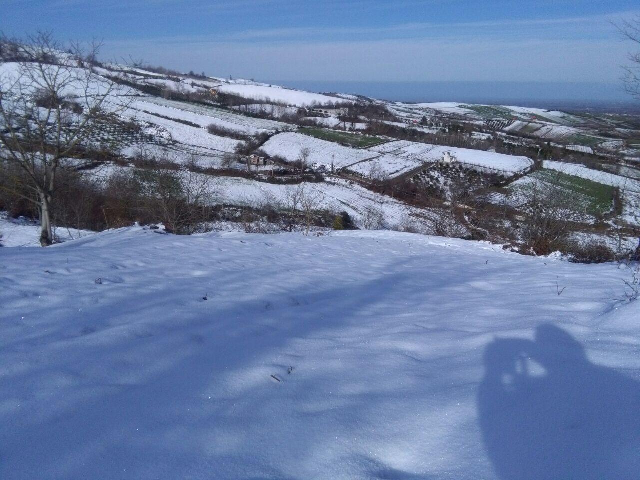 1_38_.jpg (1280×960)