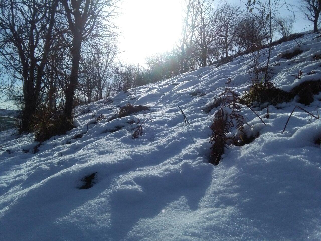 1_39_.jpg (1280×960)