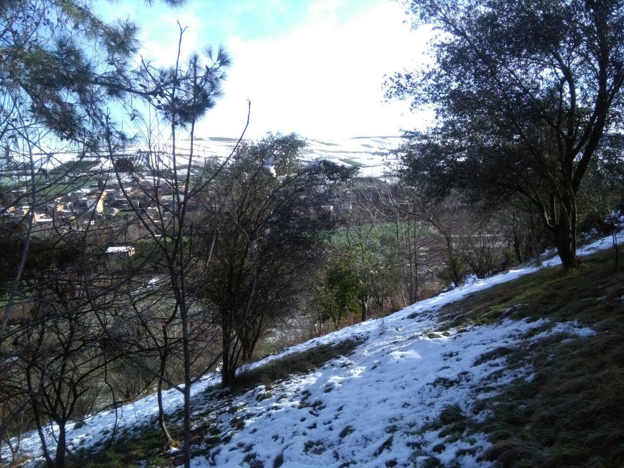 1_44_.jpg (1280×960)