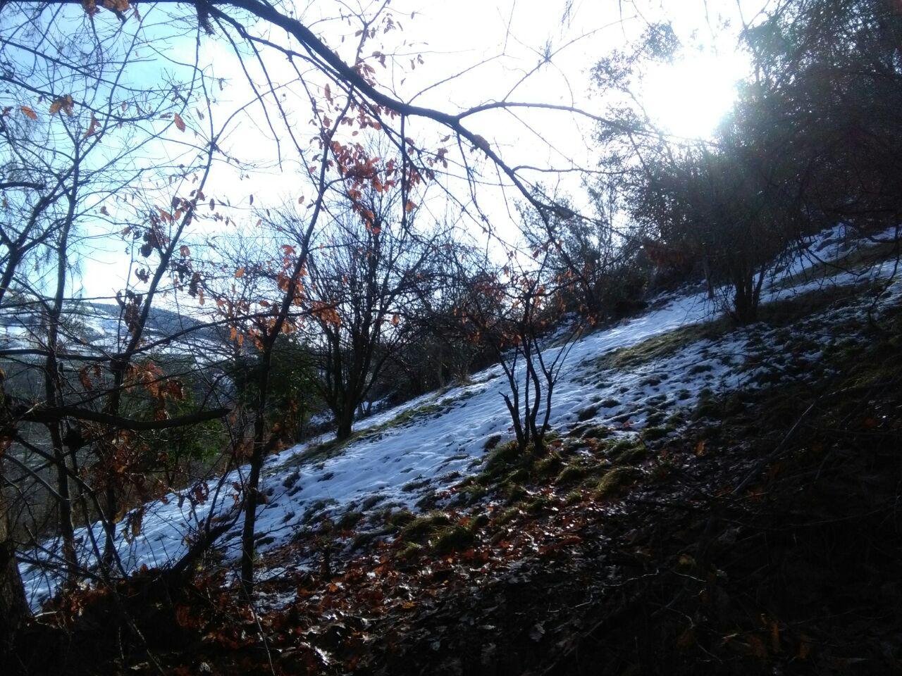 1_46_.jpg (1280×960)