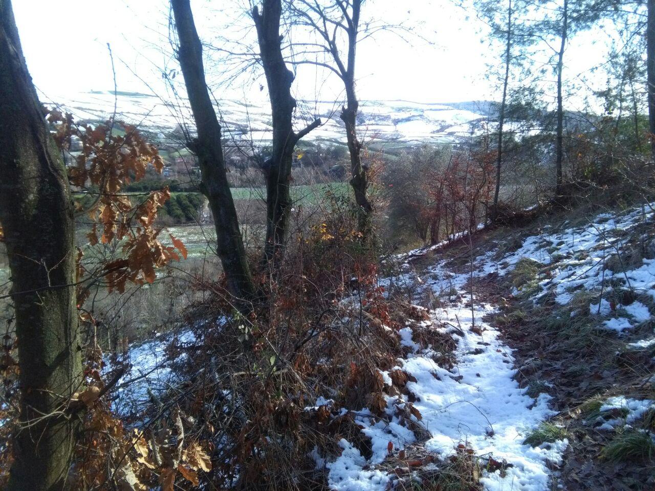 1_48_.jpg (1280×960)