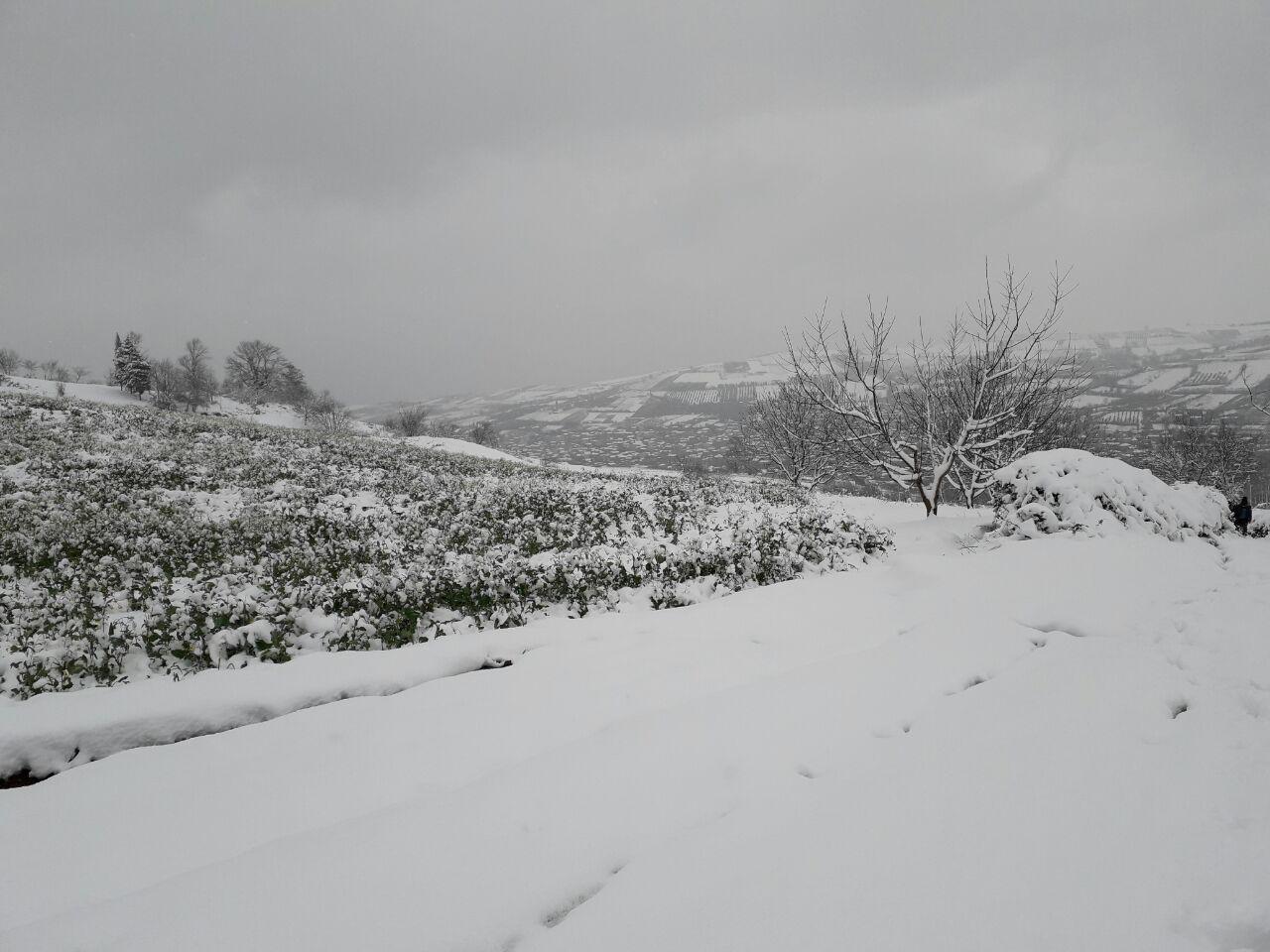 1_3_.jpg (1280×960)