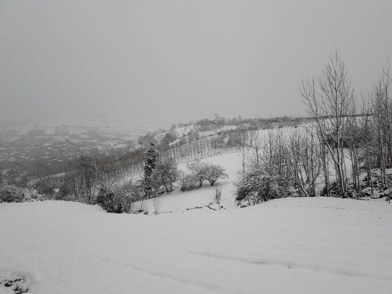 1_15_.jpg (1280×960)