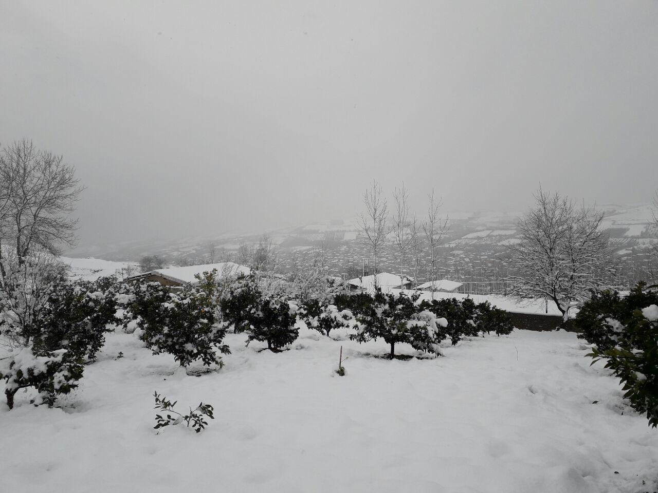 1_20_.jpg (1280×960)