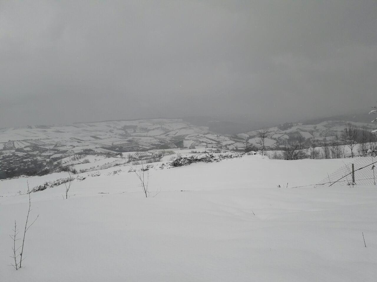 1_27_.jpg (1280×960)