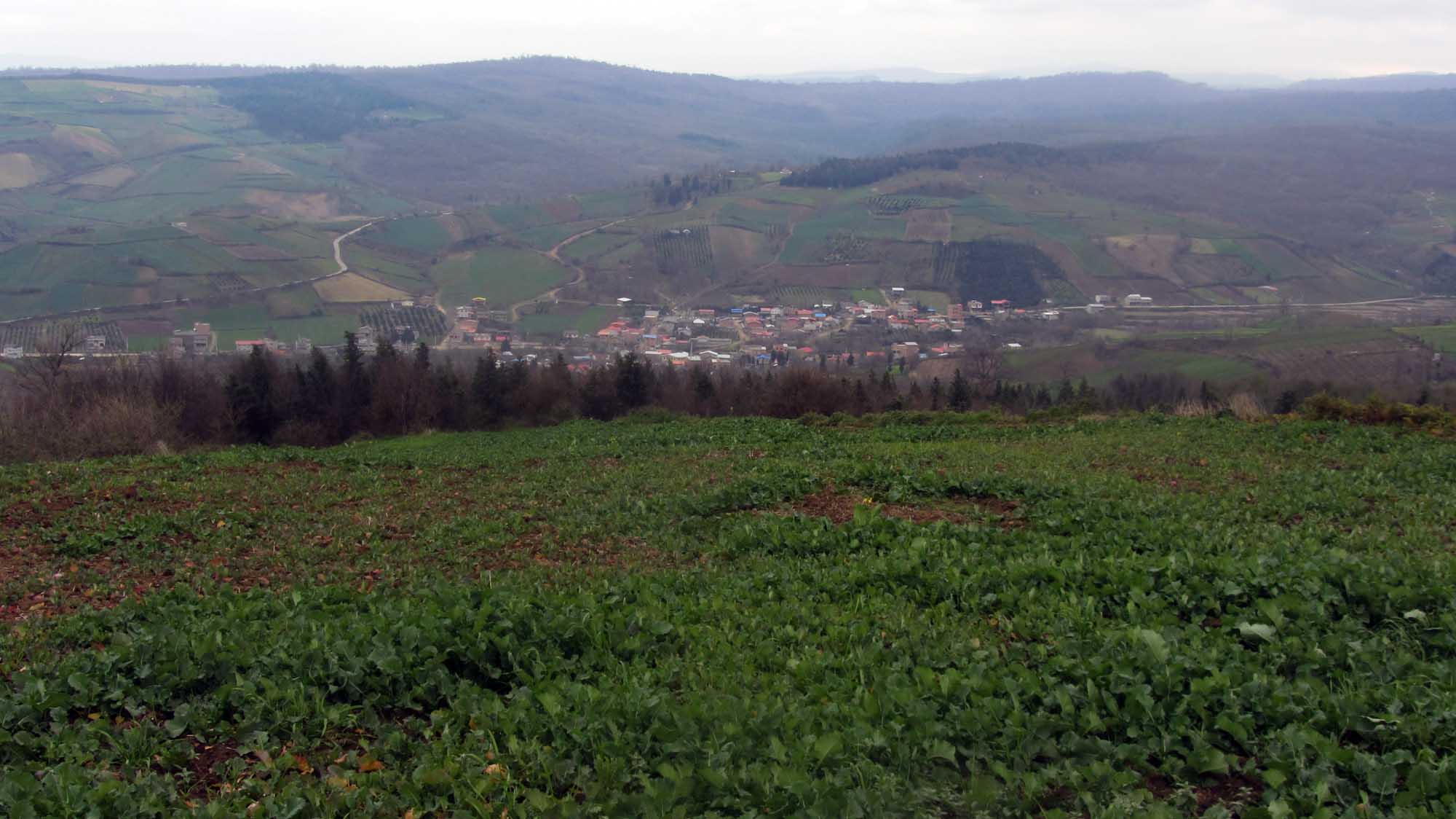 1_4_.jpg (2000×1124)