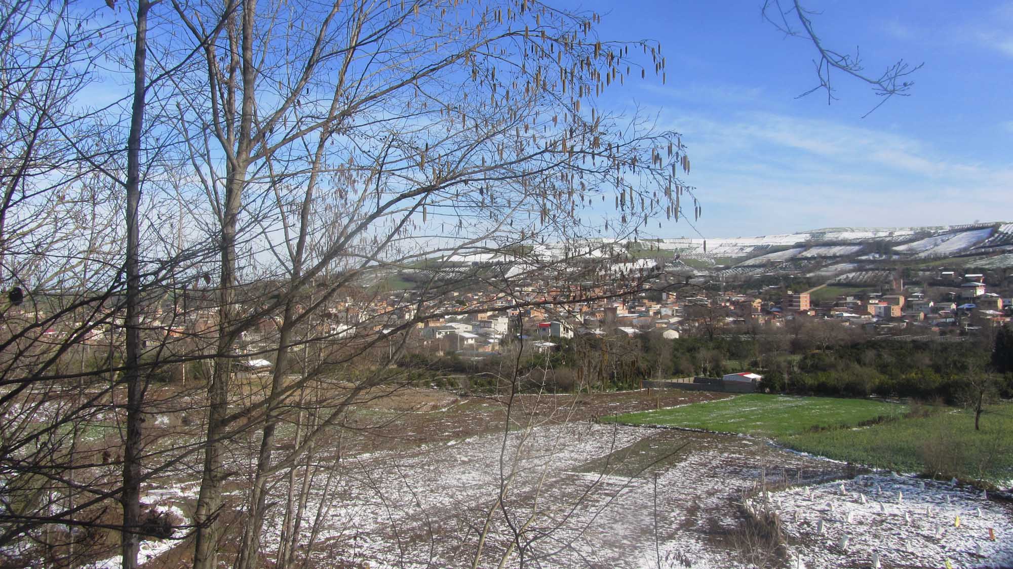 1_11_.jpg (2000×1124)