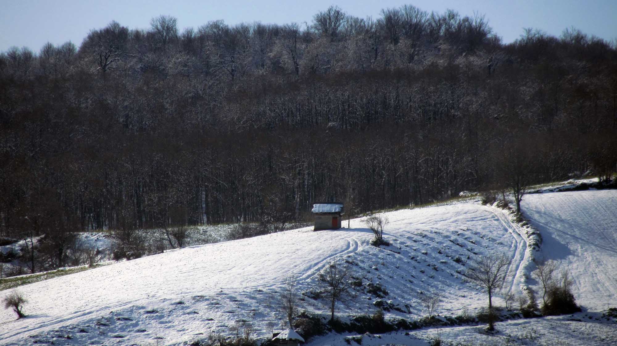 1_16_.jpg (2000×1124)