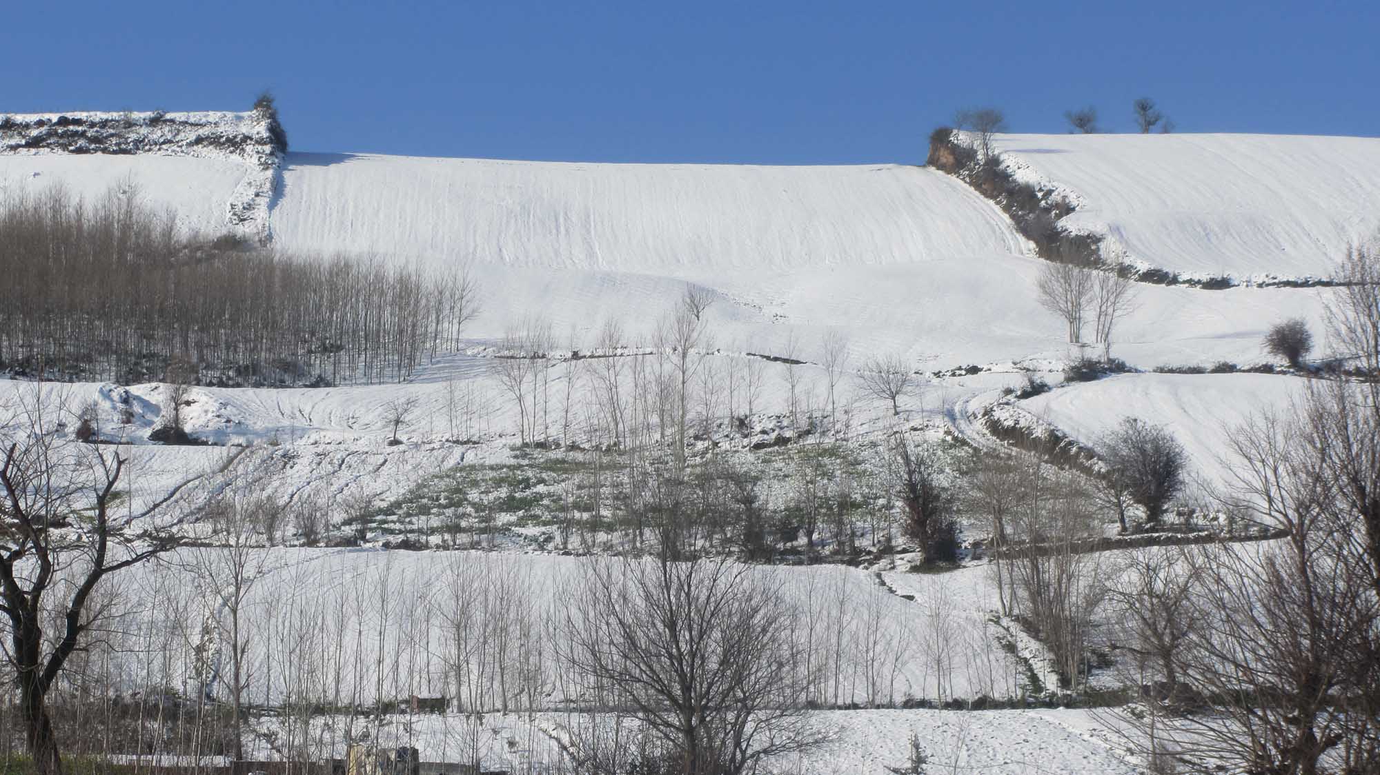 1_21_.jpg (2000×1124)