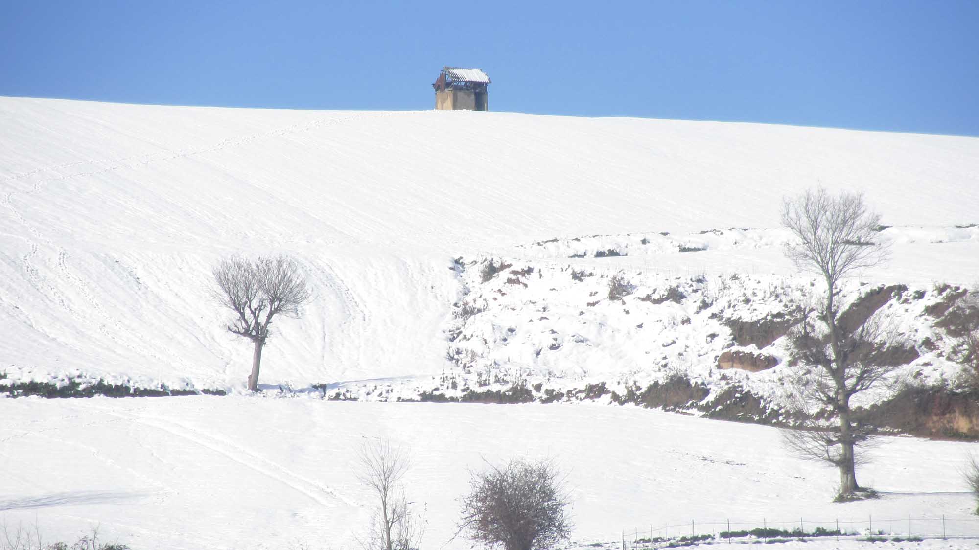 1_32_.jpg (2000×1124)