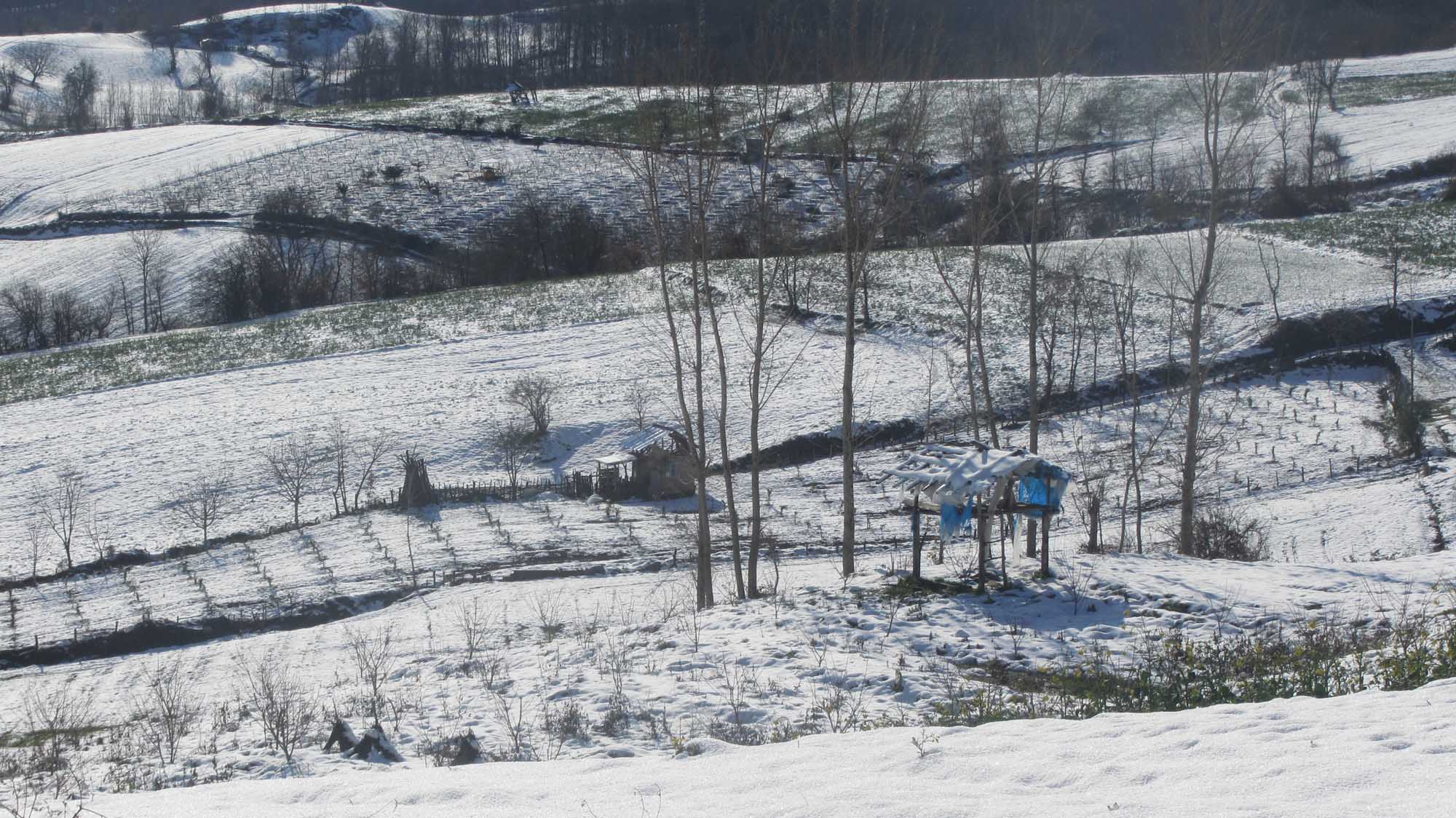 1_36_.jpg (2000×1124)