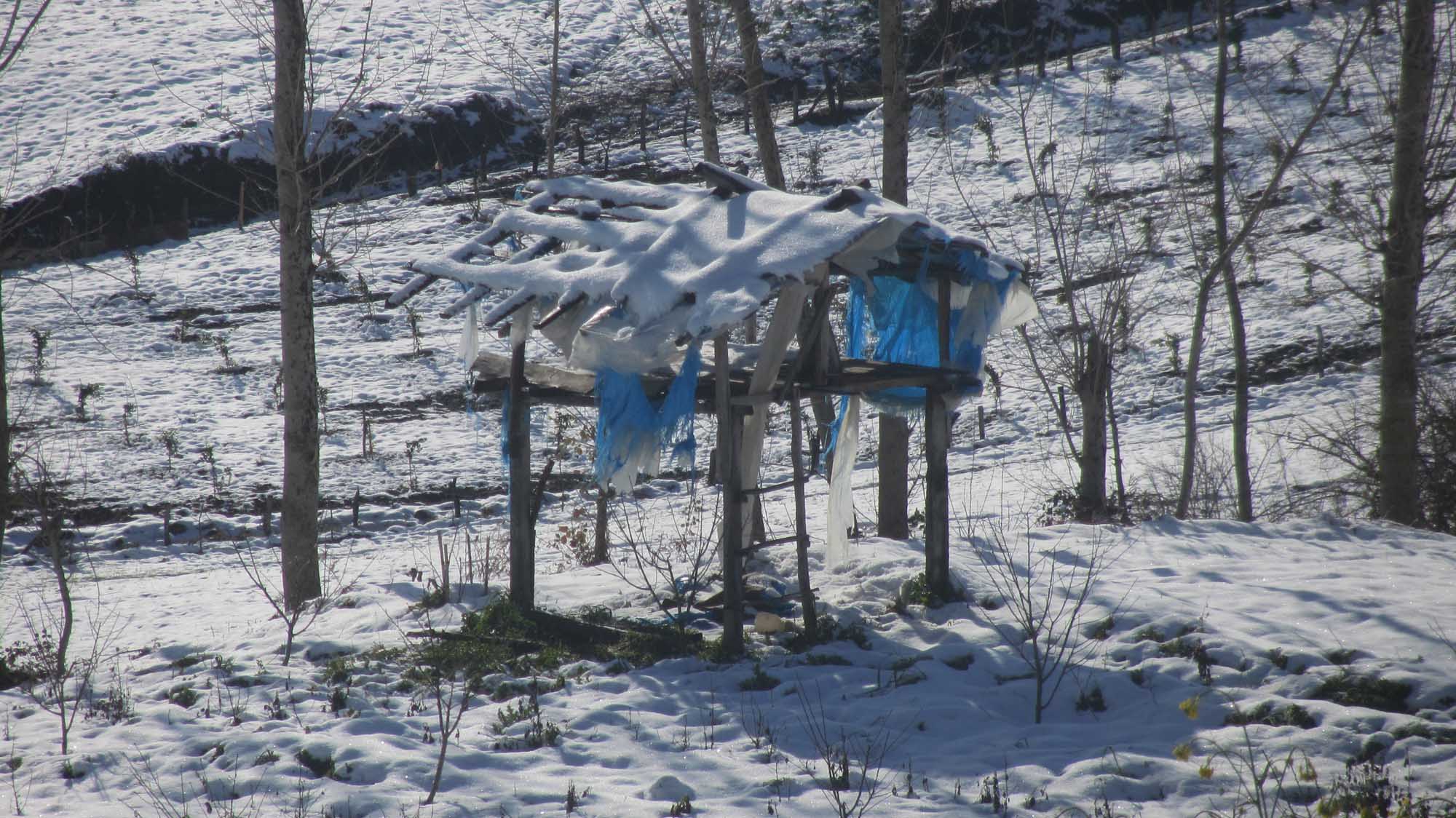 1_37_.jpg (2000×1124)