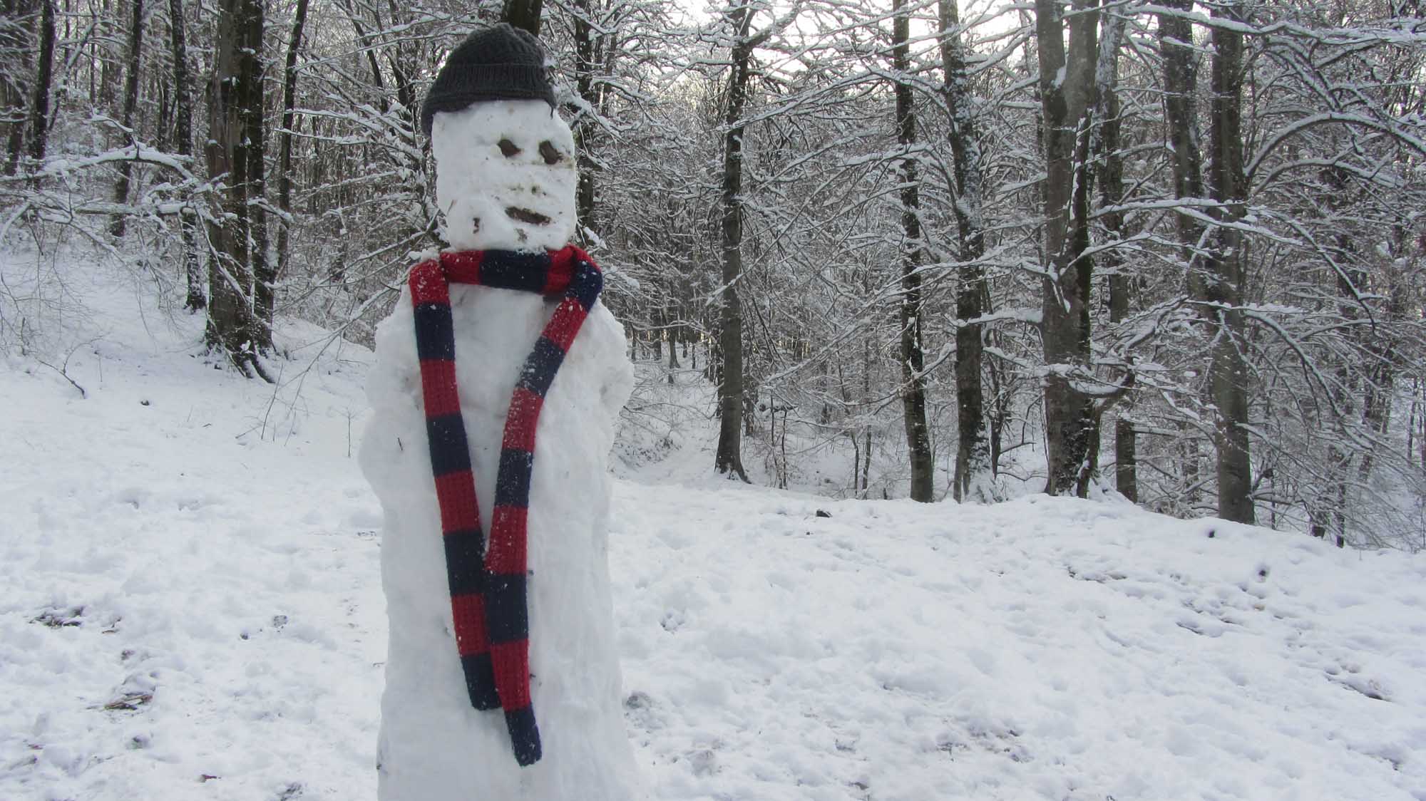 1_43_.jpg (2000×1124)