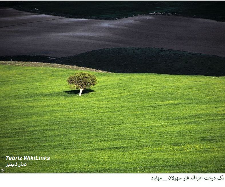 مهاباد