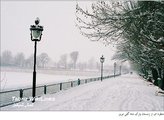 ایل گلی
