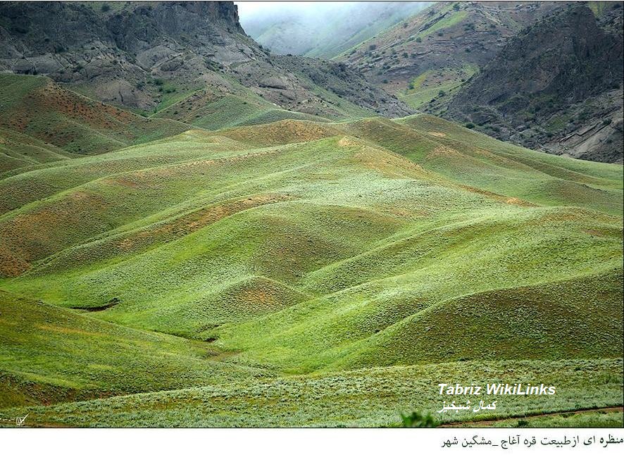 مشگین شهر