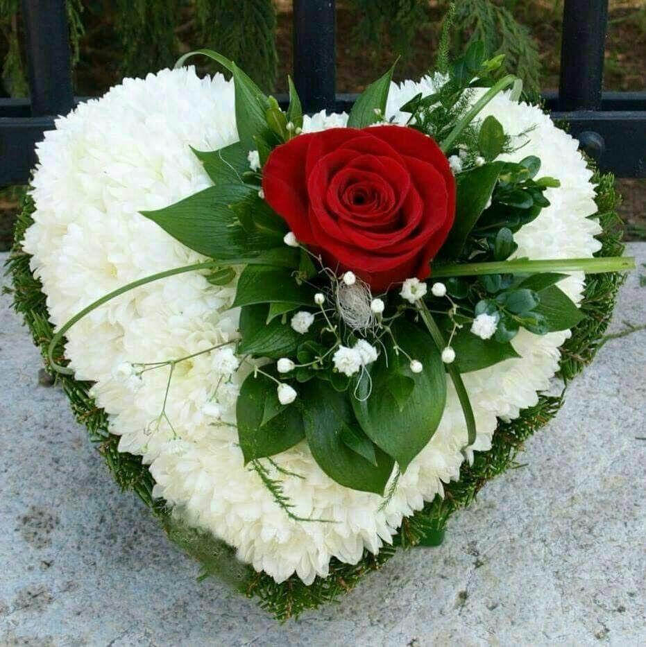 http://s9.picofile.com/file/8319309326/IMG_20180211_023050_785.jpg