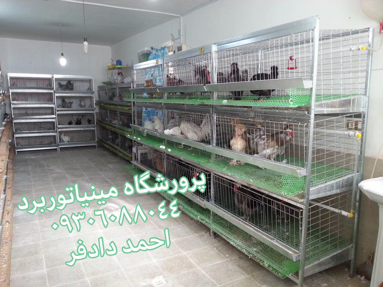 http://s9.picofile.com/file/8319496692/photo_2018_02_15_18_25_43.jpg