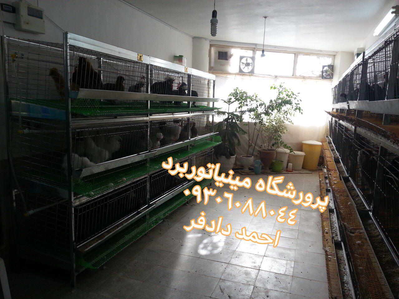http://s9.picofile.com/file/8319496726/photo_2018_02_15_18_25_36.jpg