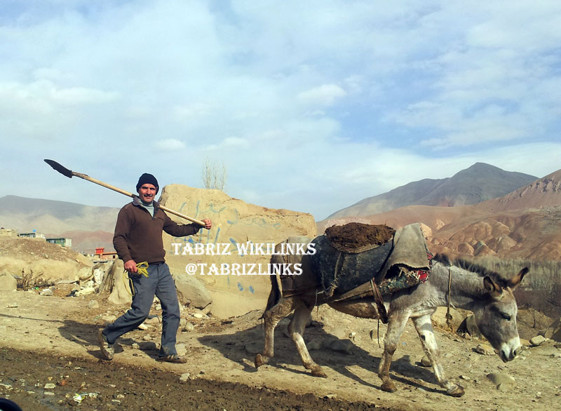 روستایی