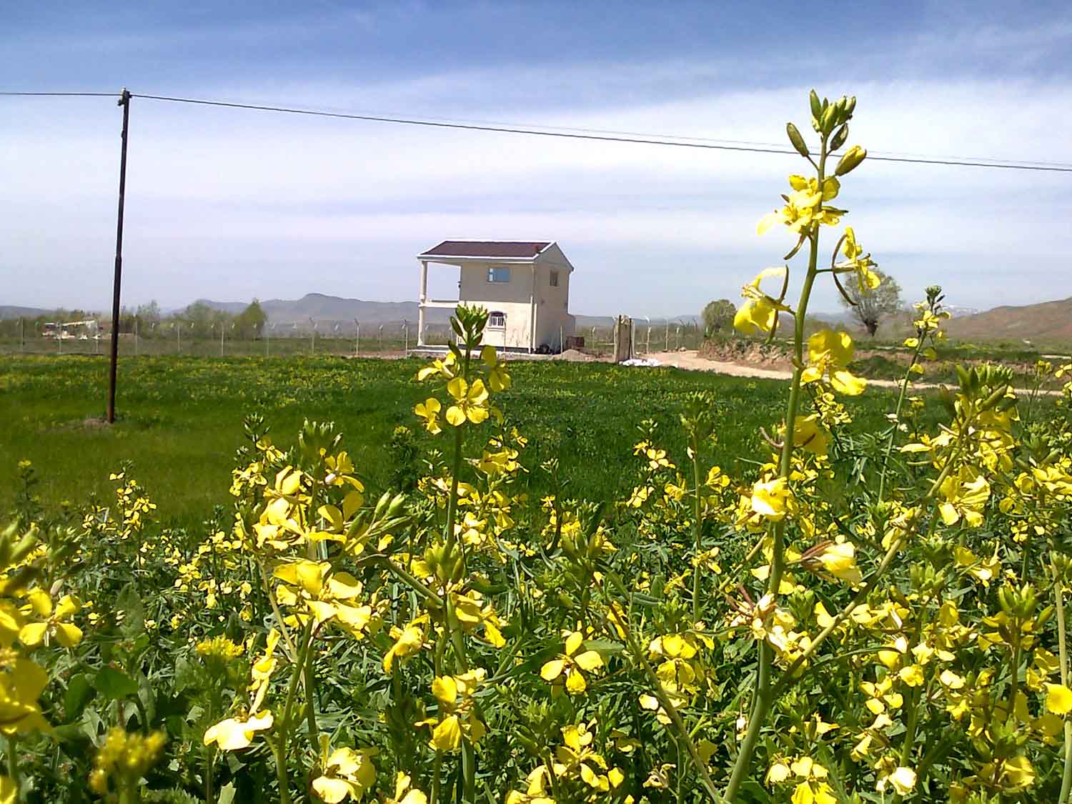 باغات اسپیران