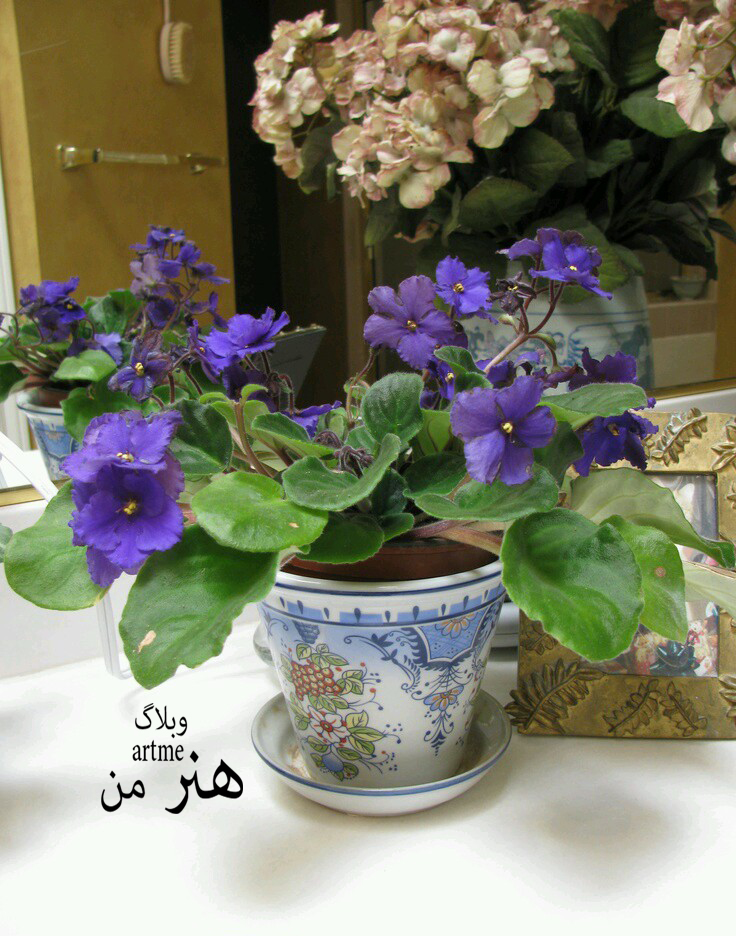http://s9.picofile.com/file/8319989568/a887236f91cdc7e4f0ab7a2e3e04be61.jpg