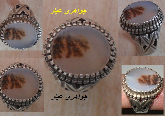 انگشتر شجر محمدتبریز