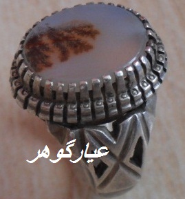 انگشتر شجر محمدتبریز