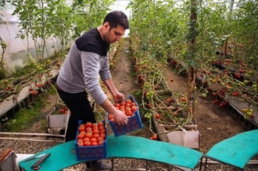 احمد هاشمی گلخانه دار ملایر