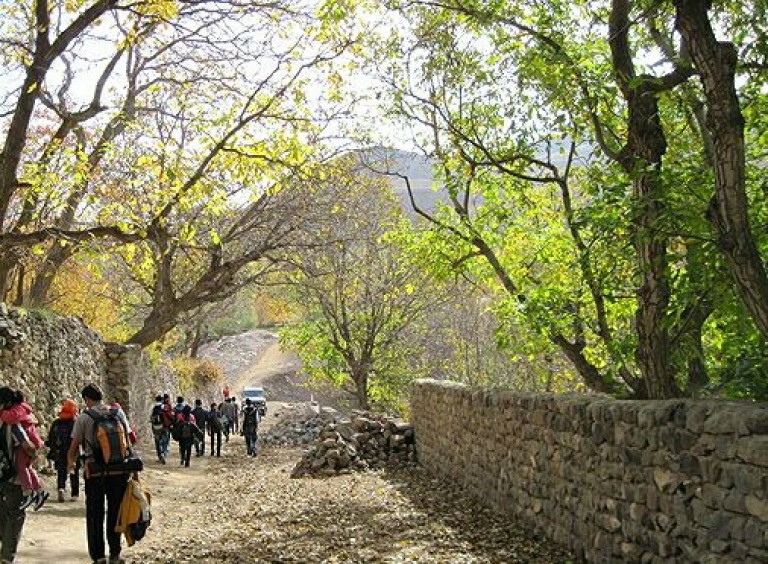 زینجنابی