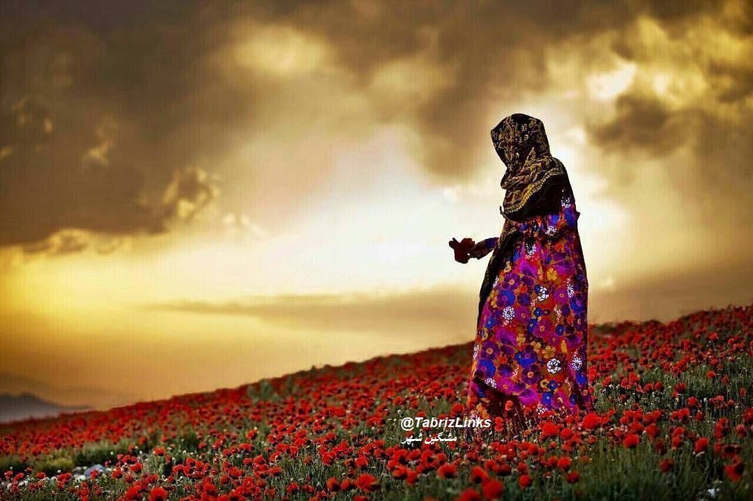 بایرام