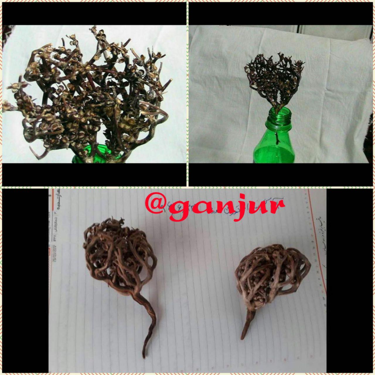 دسته گل عتیقه جعلی