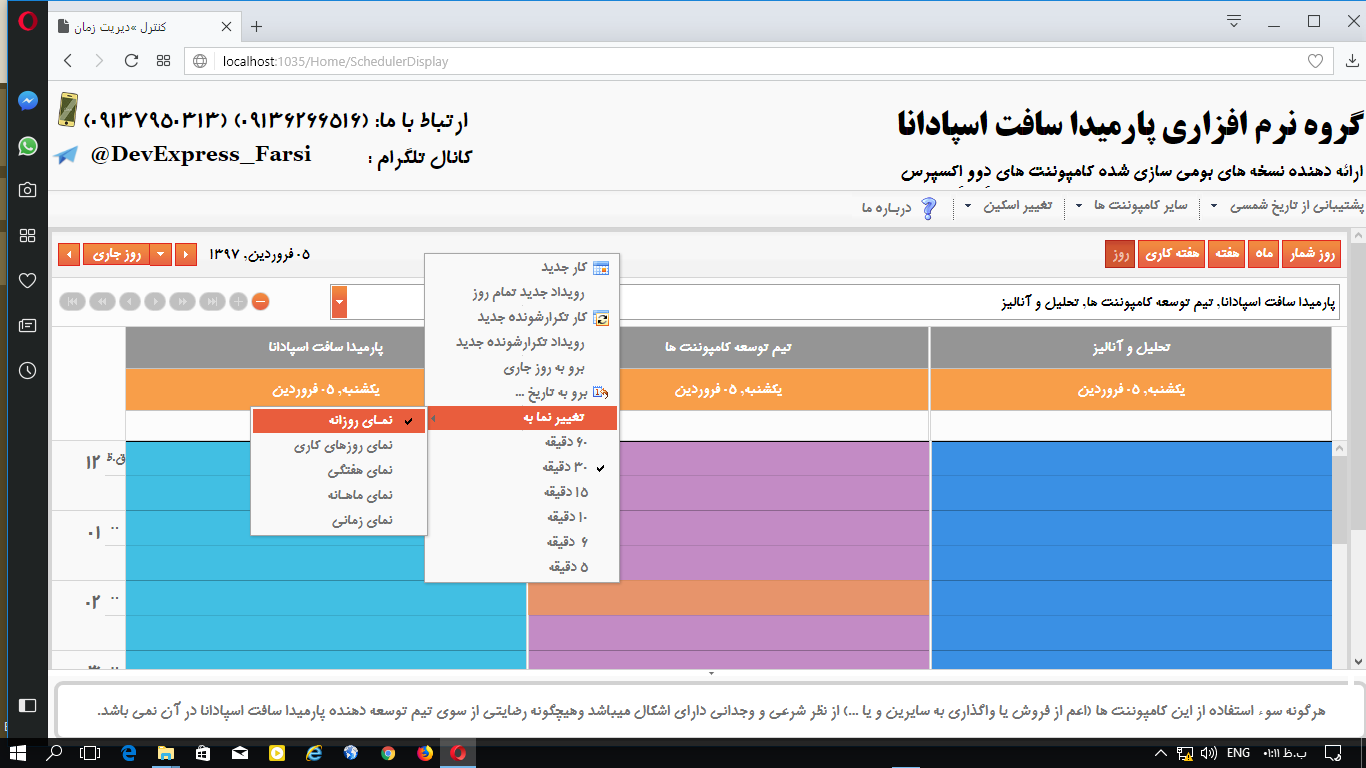 devexpress farsi devexpress