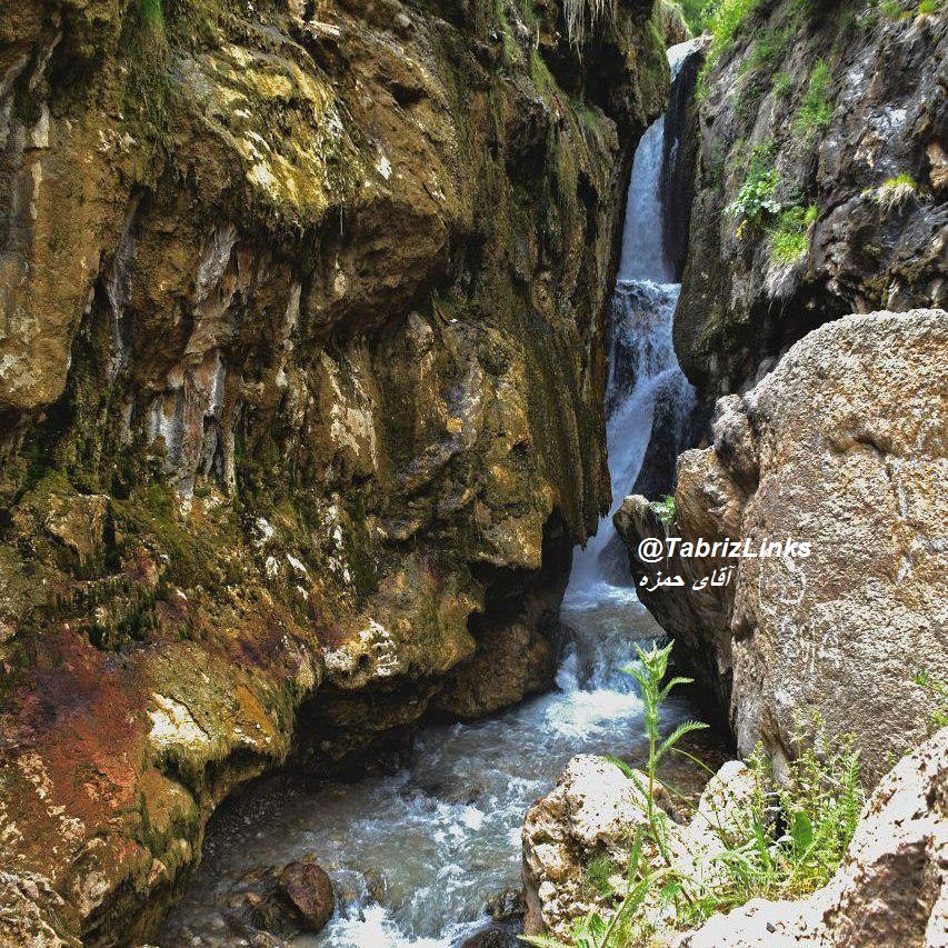 گول آخور